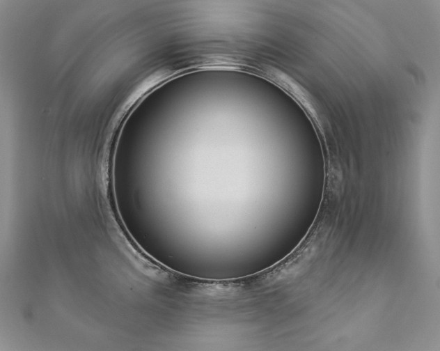 X0000113181195200909041336