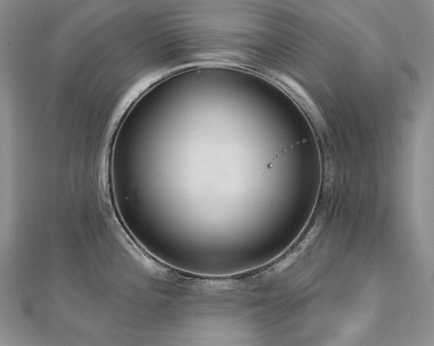 X0000113181196200909041336