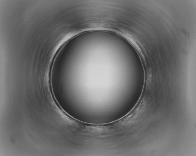 X0000113181197200909041336