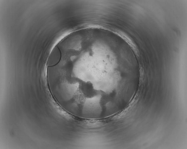 X0000113181198200909041336