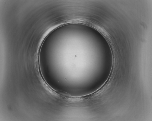 X0000113181200200909041336