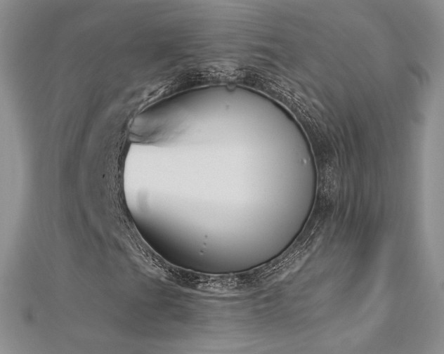 X0000113181201200909041336