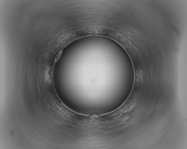 X0000113181202200909041336