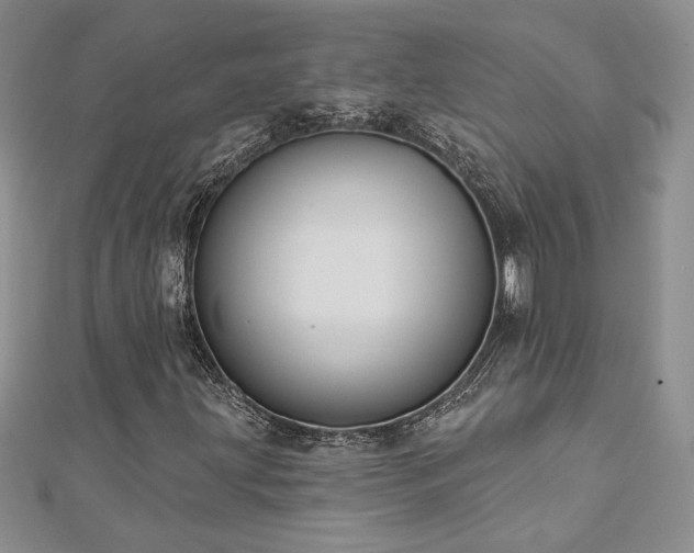 X0000113181203200909041336
