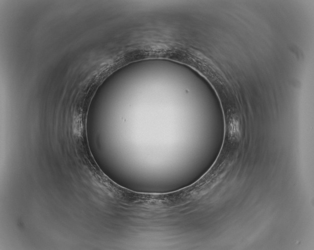 X0000113181204200909041336