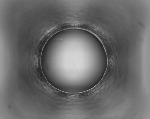 X0000113181205200909041336