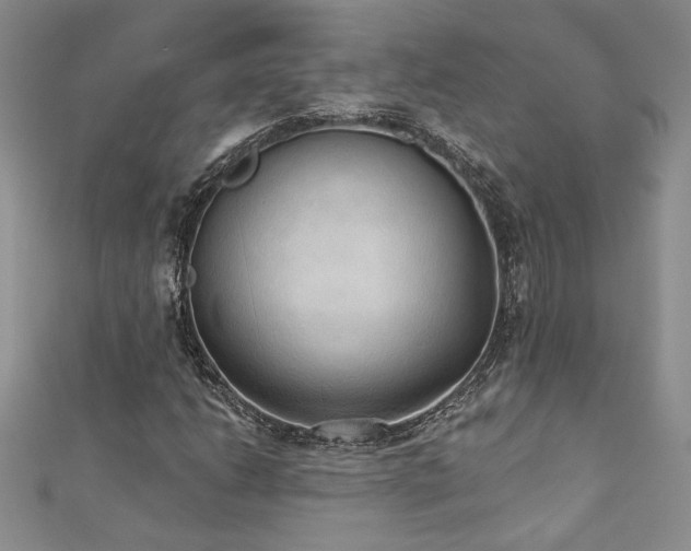 X0000113181206200909041336