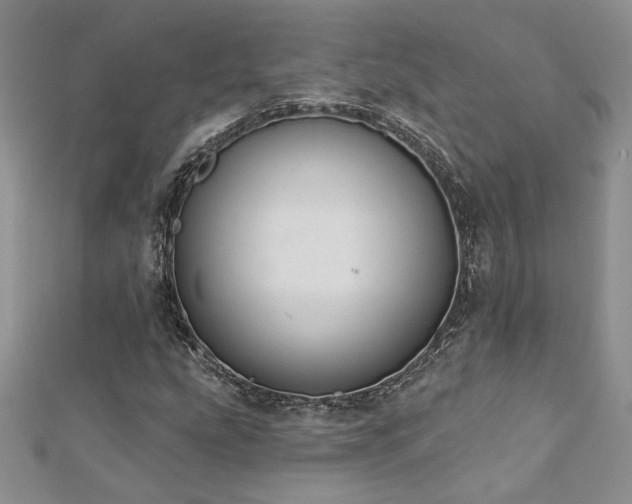 X0000113181207200909041336