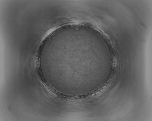X0000113181208200909041336