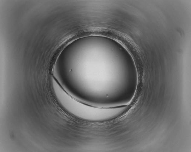 X0000113181209200909041336