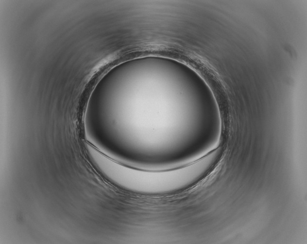 X0000113181210200909041336