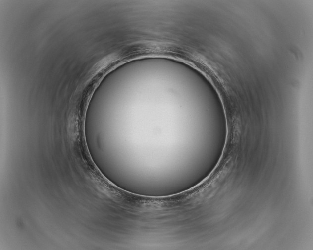 X0000113181211200909041336