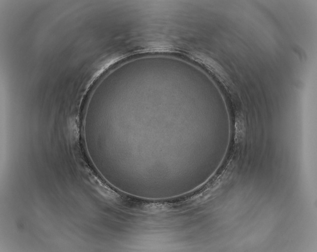 X0000113181212200909041336