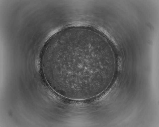 X0000113181213200909041336