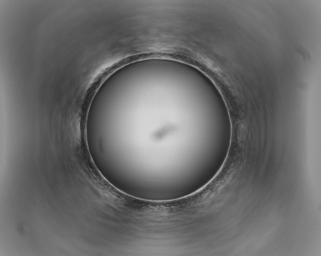 X0000113181214200909041336