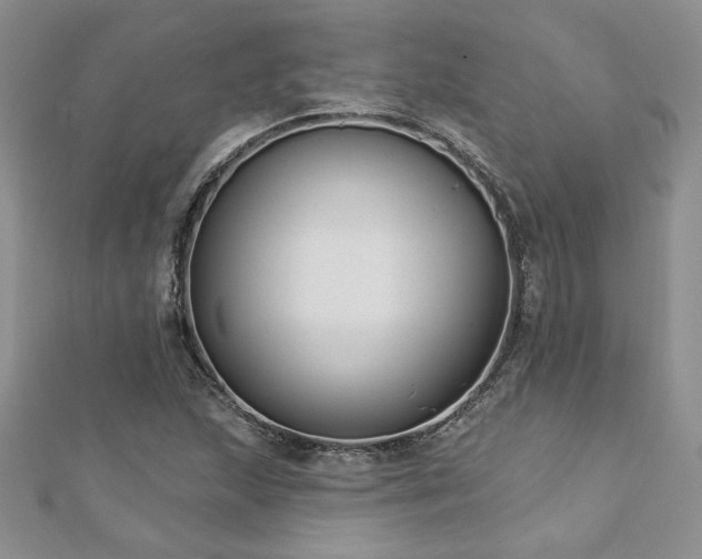 X0000113181215200909041336