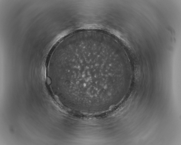 X0000113181221200909041336