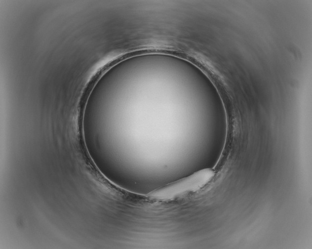 X0000113181222200909041336