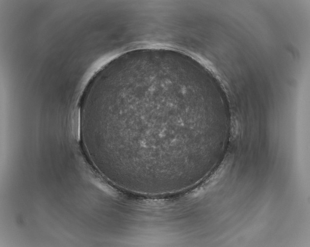 X0000113181223200909041336