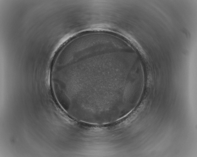 X0000113181224200909041336