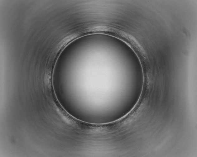 X0000113181225200909041336