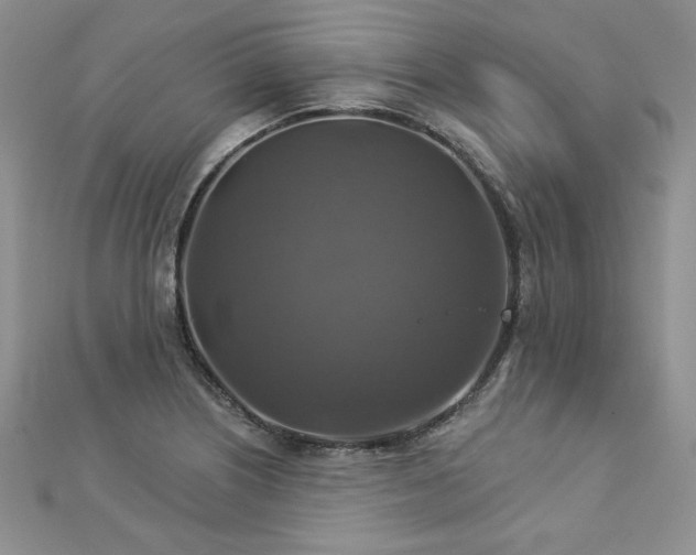 X0000113181226200909041336