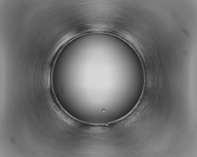 X0000113181227200909041336
