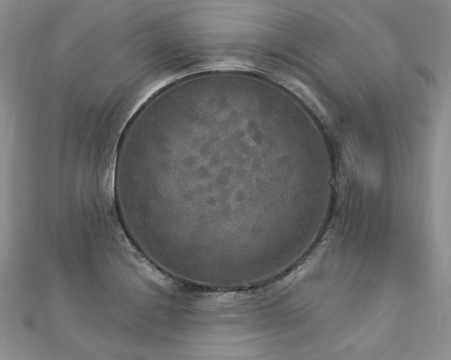 X0000113181228200909041336