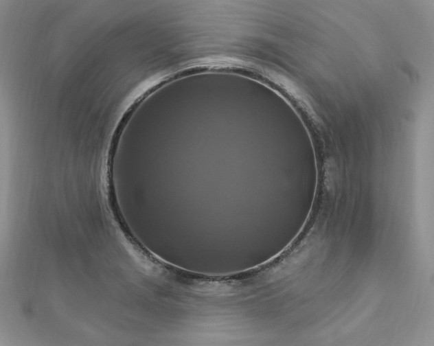 X0000113181229200909041336