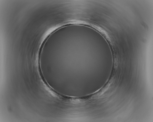 X0000113181231200909041336