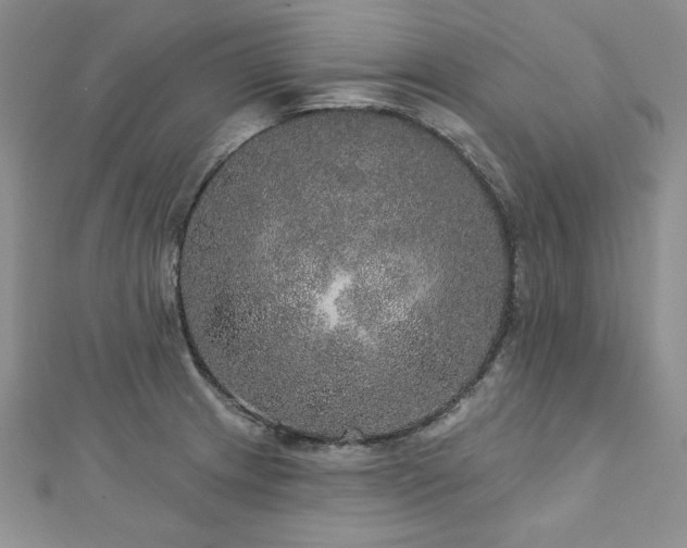 X0000113181233200909041336