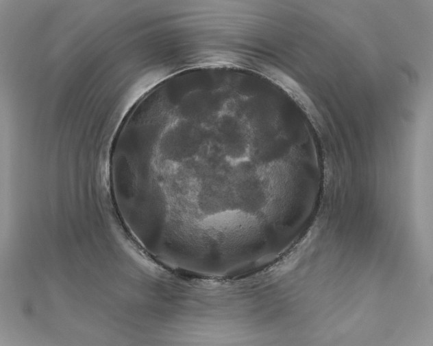X0000113181234200909041336