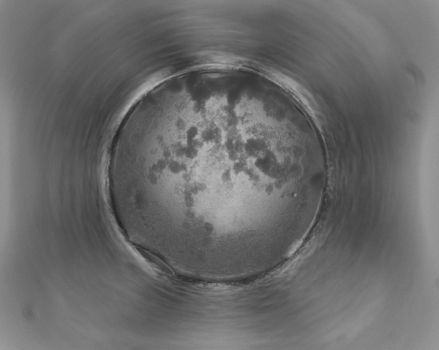 X0000113181235200909041336