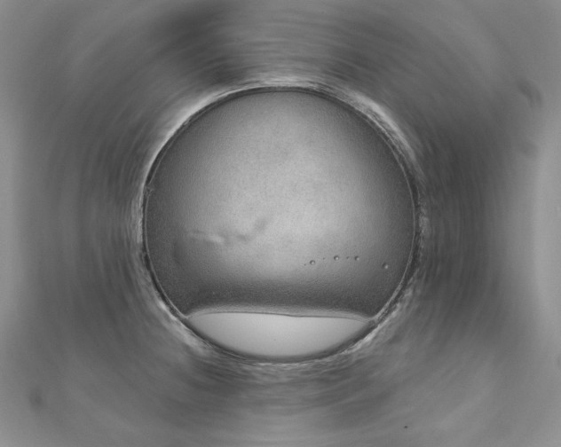 X0000113181236200909041336