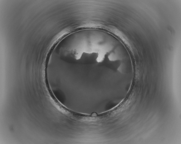X0000113181237200909041336