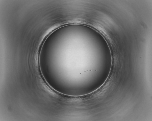 X0000113181238200909041336