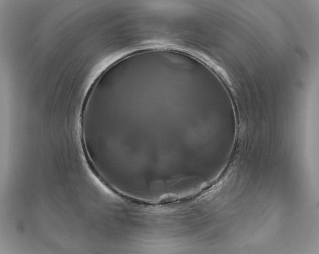 X0000113181239200909041336