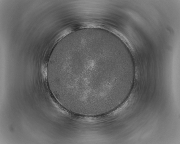 X0000113181241200909041336