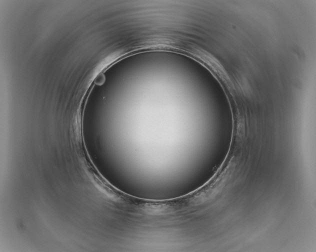 X0000113181242200909041336
