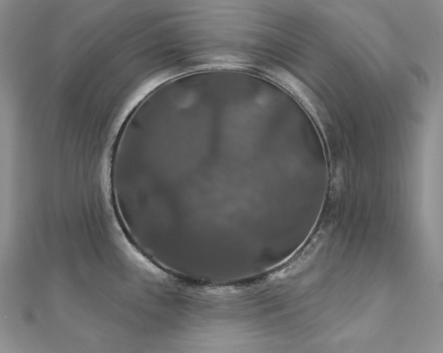 X0000113181243200909041336