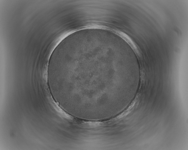 X0000113181244200909041336