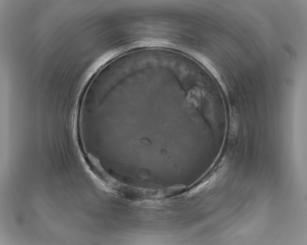 X0000113181245200909041336