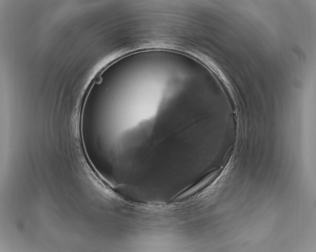 X0000113181246200909041336