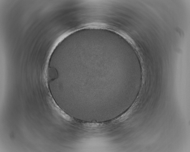 X0000113181248200909041336