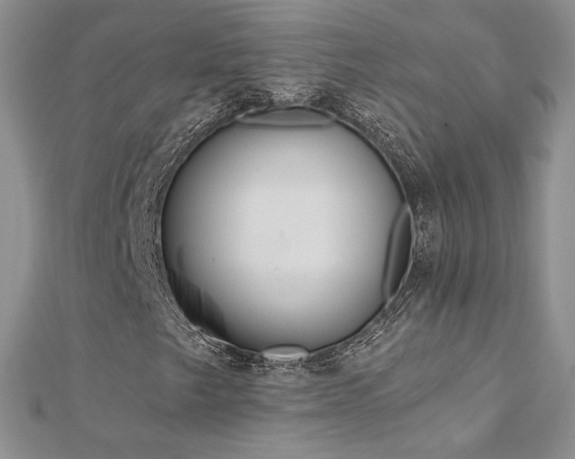 X0000113181249200909041336