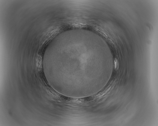 X0000113181251200909041336