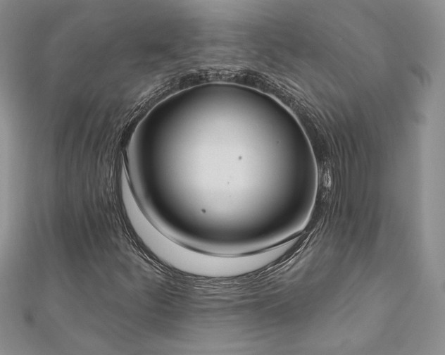 X0000113181252200909041336