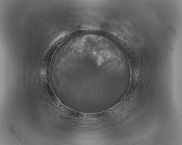 X0000113181254200909041336