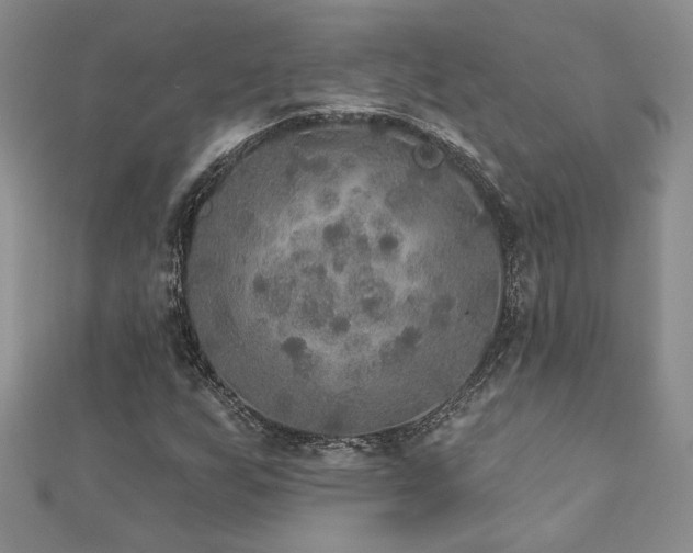 X0000113181255200909041336