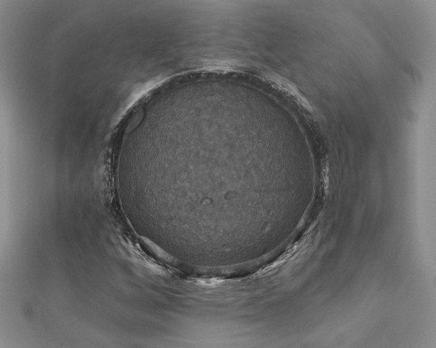 X0000113181256200909041336